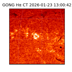 gong - 2026-01-23T13:00:42