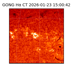 gong - 2026-01-23T15:00:42