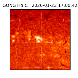 gong - 2026-01-23T17:00:42