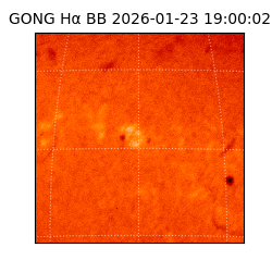gong - 2026-01-23T19:00:02