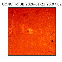 gong - 2026-01-23T20:07:02