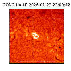 gong - 2026-01-23T23:00:42