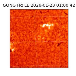 gong - 2026-01-23T01:00:42