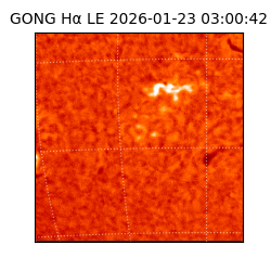 gong - 2026-01-23T03:00:42