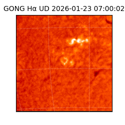 gong - 2026-01-23T07:00:02