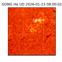 gong - 2026-01-23T08:00:02