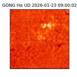 gong - 2026-01-23T09:00:02