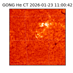 gong - 2026-01-23T11:00:42