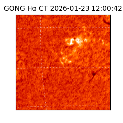 gong - 2026-01-23T12:00:42