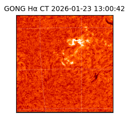 gong - 2026-01-23T13:00:42