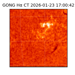 gong - 2026-01-23T17:00:42