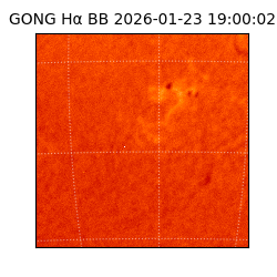 gong - 2026-01-23T19:00:02