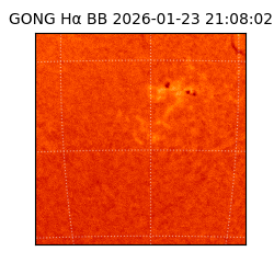 gong - 2026-01-23T21:08:02