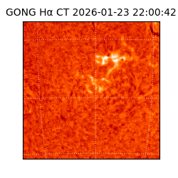 gong - 2026-01-23T22:00:42