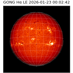 gong - 2026-01-23T00:02:42