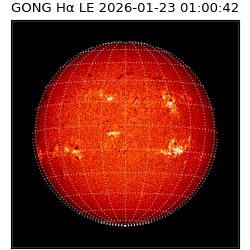 gong - 2026-01-23T01:00:42