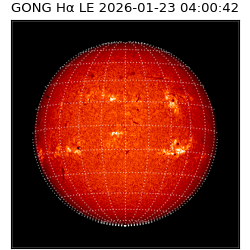 gong - 2026-01-23T04:00:42