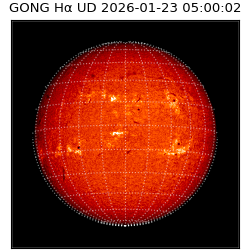 gong - 2026-01-23T05:00:02