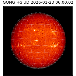 gong - 2026-01-23T06:00:02