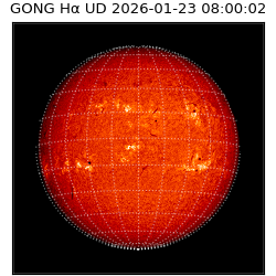 gong - 2026-01-23T08:00:02