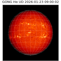 gong - 2026-01-23T09:00:02