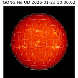 gong - 2026-01-23T10:00:02
