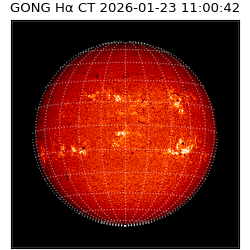 gong - 2026-01-23T11:00:42