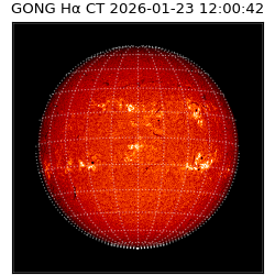 gong - 2026-01-23T12:00:42