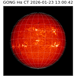gong - 2026-01-23T13:00:42