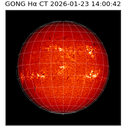 gong - 2026-01-23T14:00:42
