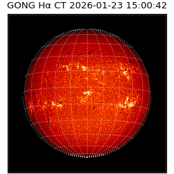 gong - 2026-01-23T15:00:42