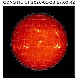 gong - 2026-01-23T17:00:42