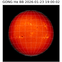 gong - 2026-01-23T19:00:02