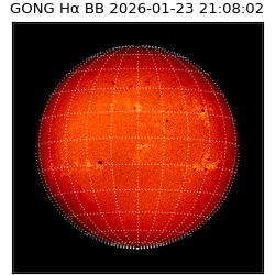 gong - 2026-01-23T21:08:02