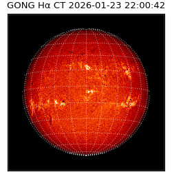 gong - 2026-01-23T22:00:42