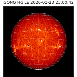 gong - 2026-01-23T23:00:42