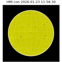 shmi - 2026-01-23T11:58:30.200000