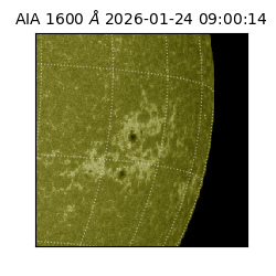 saia - 2026-01-24T09:00:14.132000