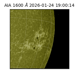 saia - 2026-01-24T19:00:14.126000
