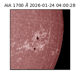 saia - 2026-01-24T04:00:28.717000