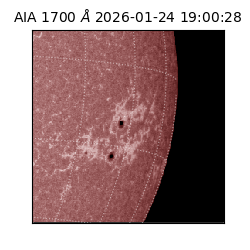 saia - 2026-01-24T19:00:28.717000