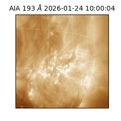 saia - 2026-01-24T10:00:04.843000