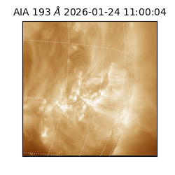 saia - 2026-01-24T11:00:04.843000