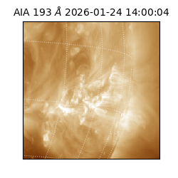 saia - 2026-01-24T14:00:04.843000