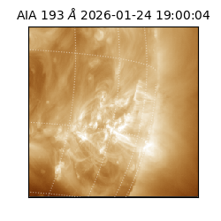 saia - 2026-01-24T19:00:04.843000
