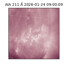 saia - 2026-01-24T09:00:09.630000