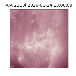 saia - 2026-01-24T13:00:09.632000