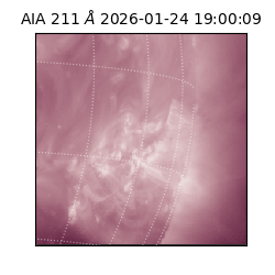 saia - 2026-01-24T19:00:09.634000
