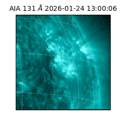 saia - 2026-01-24T13:00:06.630000