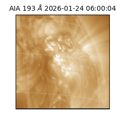 saia - 2026-01-24T06:00:04.835000